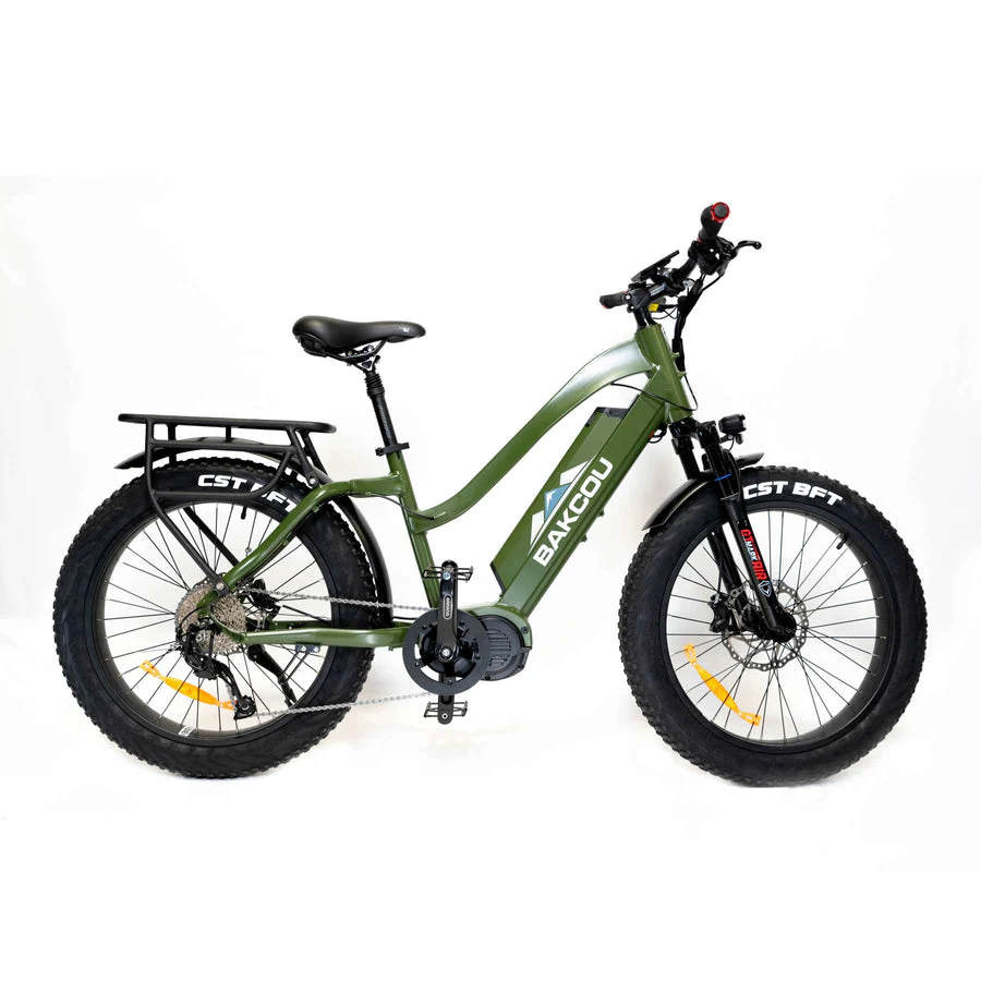 Bakcou E-Bikes - Image 14