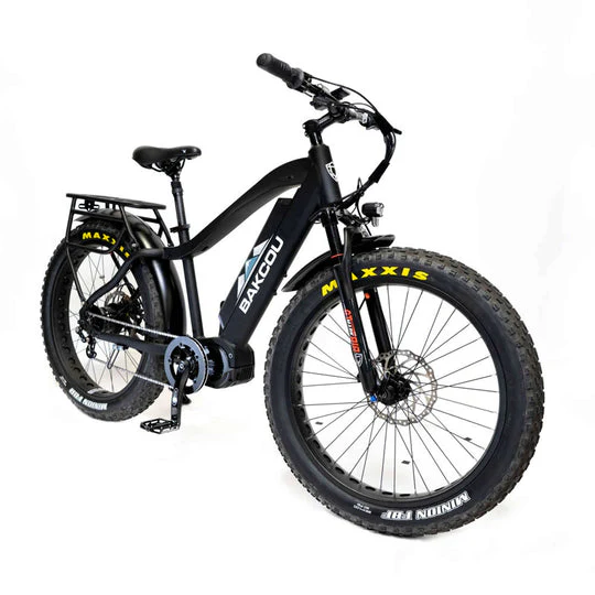 Bakcou E-Bikes - Image 16