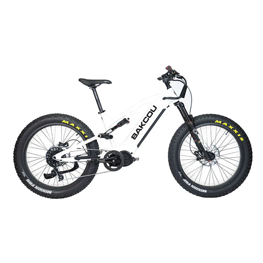 Bakcou E-Bikes - Image 21