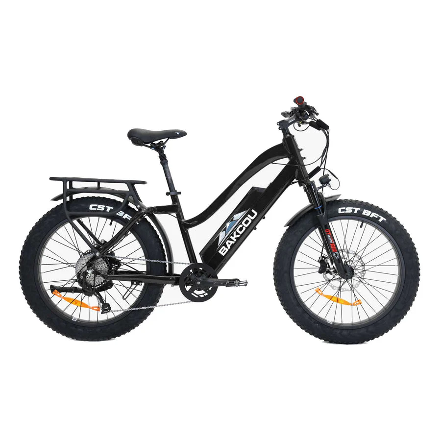 Bakcou E-Bikes - Image 8