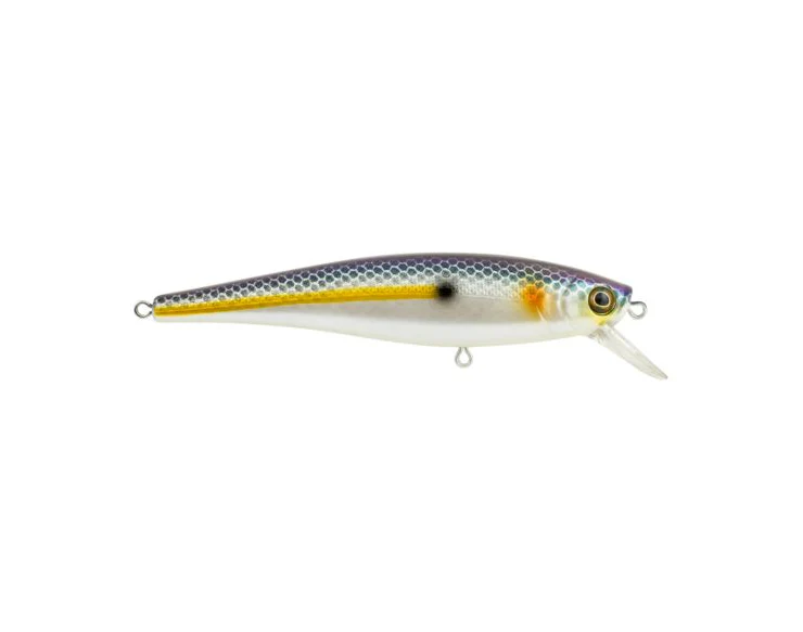 Berkley Cutter 90 Shallow - Image 6