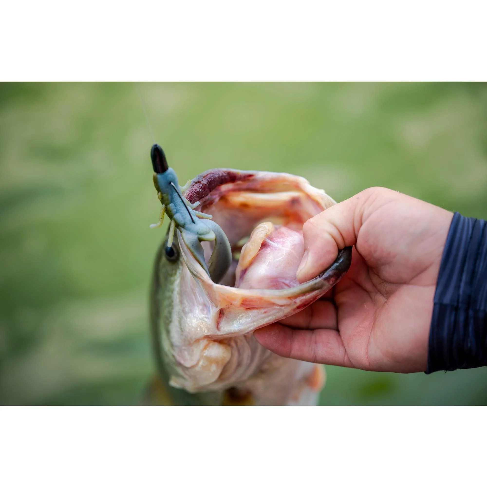 Berkley MaxScent Chigger Craw - Image 6