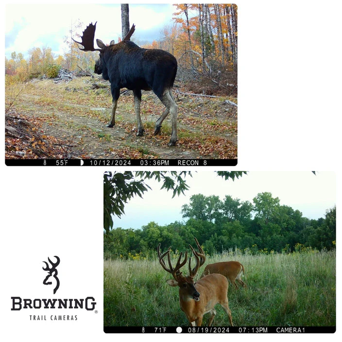 Browning Recon Force Elite HP5 Trail Camera - Image 6