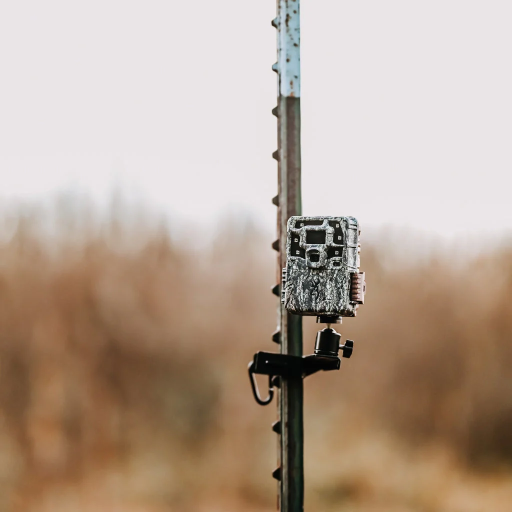 Browning Strike Force Pro X 1080 Trail Camera - Image 5