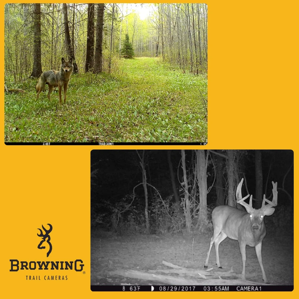 Browning Strike Force Pro X 1080 Trail Camera - Image 6