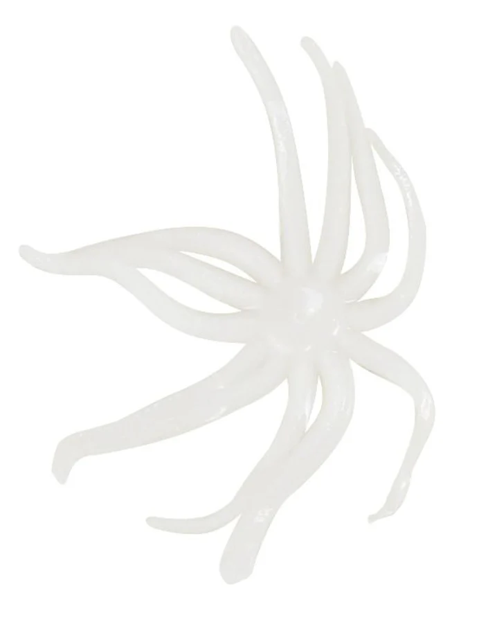 Clam Neki - Image 3