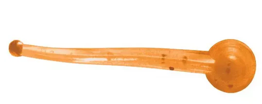 Clam Polli - Image 2