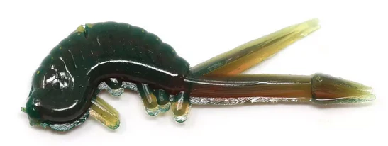 Clam Skudi Xl - Image 5