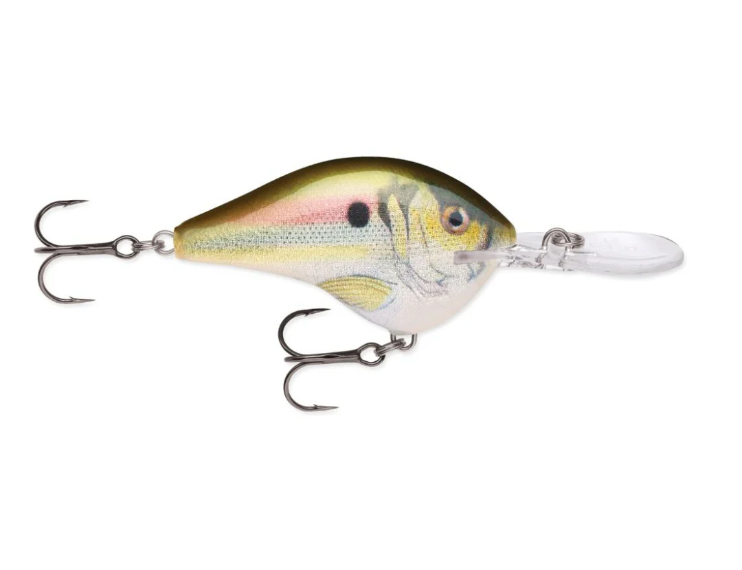 Rapala LIVE Series Dive-To - Image 3