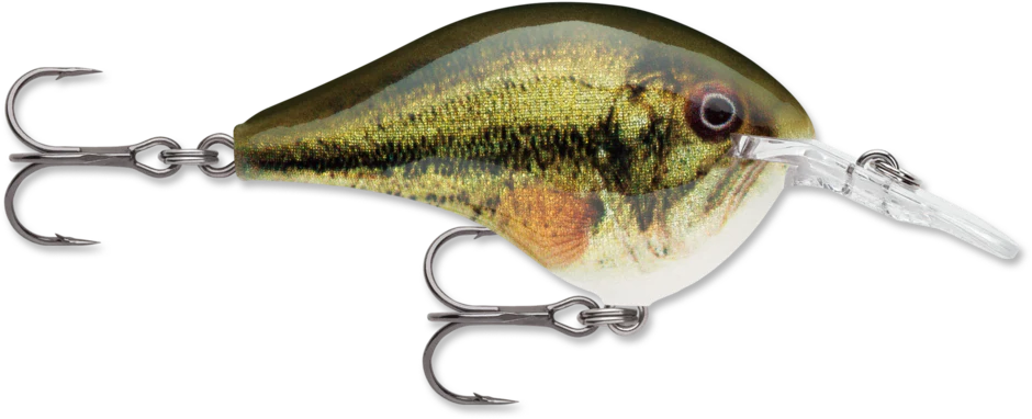 Rapala LIVE Series Dive-To - Image 5