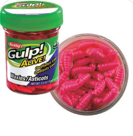 Gulp Alive Waxies/Maggots