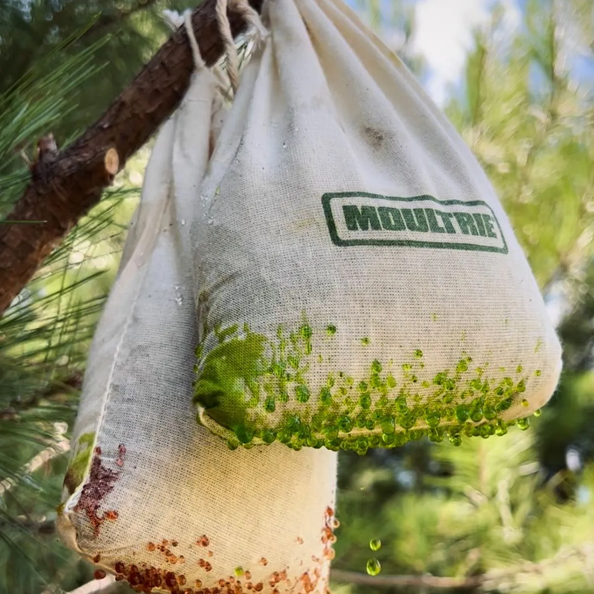 Moultrie Deer Magnet® Drip Bag Attractant - Image 4