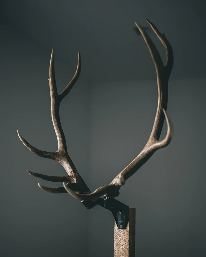 Rack Hub - Image 4