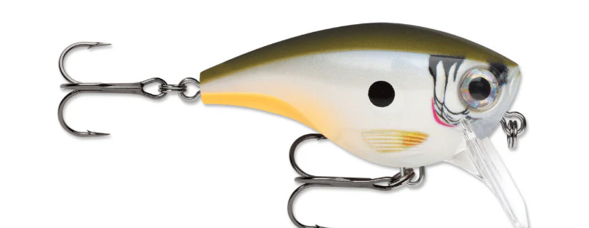 Rapala BX Big Brat - Image 7