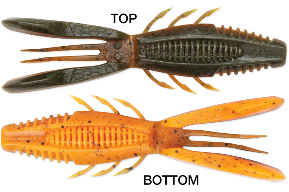 Rapala Crush City Bronco Bug - Image 10