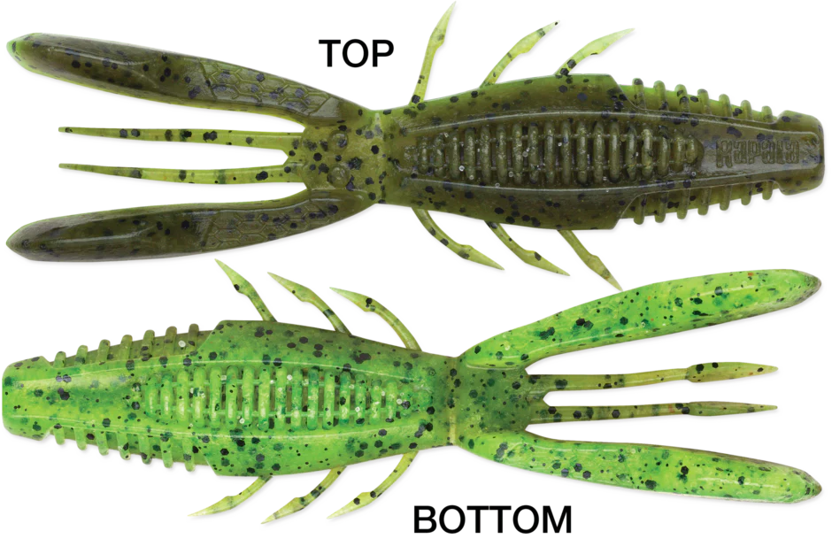 Rapala Crush City Bronco Bug - Image 15