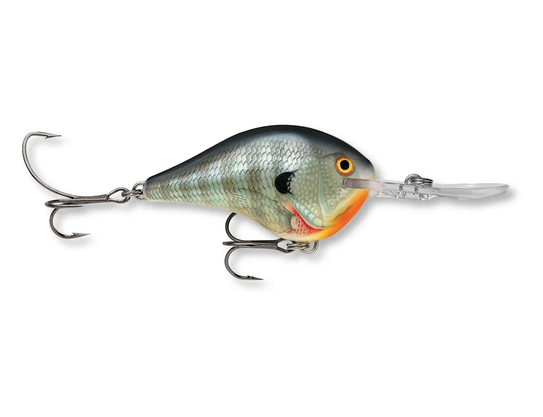 Rapala DT® (Dives-To) Series - Image 2