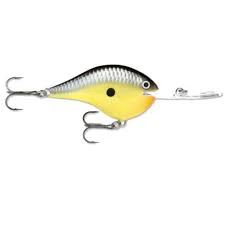 Rapala DT® (Dives-To) Series - Image 23