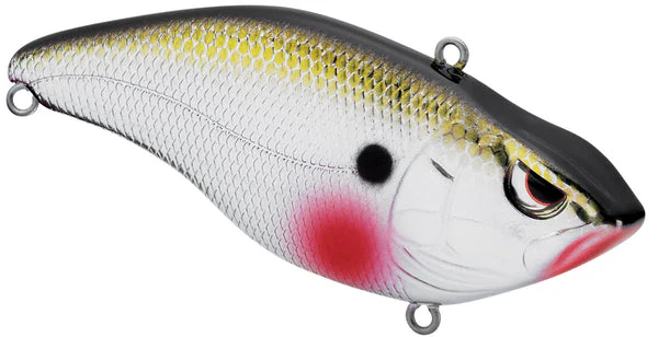 Spro Aruku Shad - Image 25